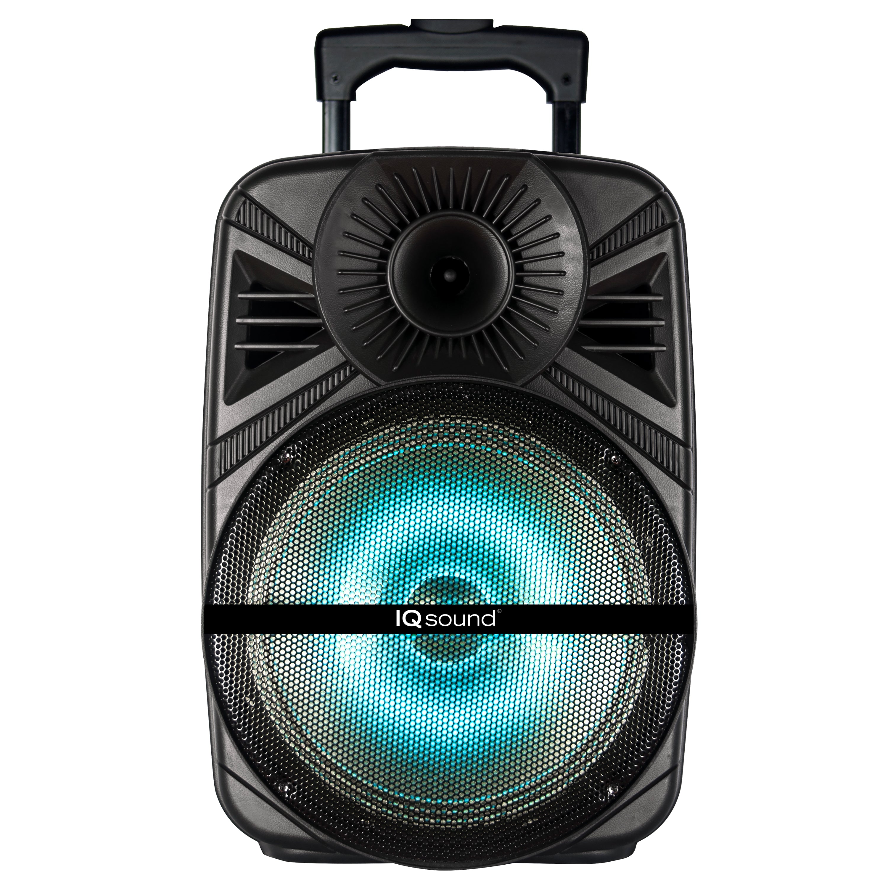 12” Portable Bluetooth® Speaker with True Wireless Technology